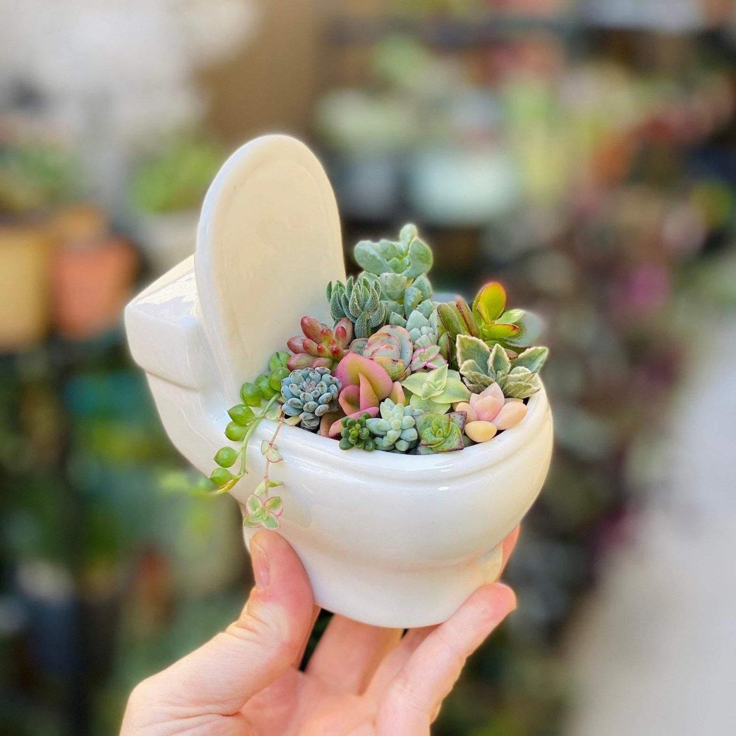 Handcrafted Clay Plant Holder Pot