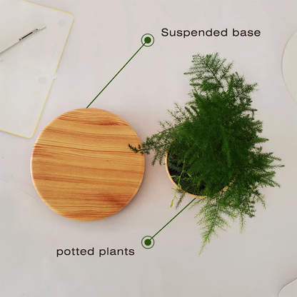 Levitating Magnetic Plant Pot
