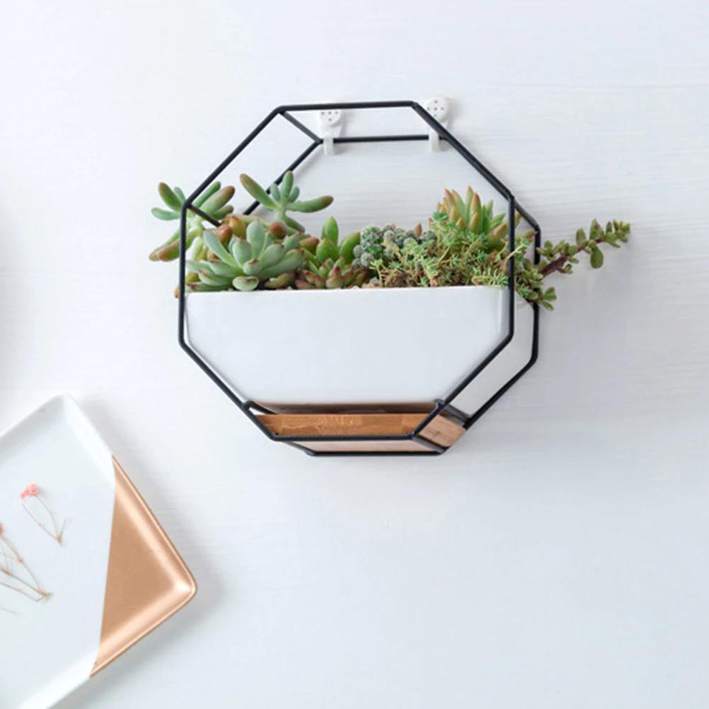 Hexagon Wall Hanging Planter Set