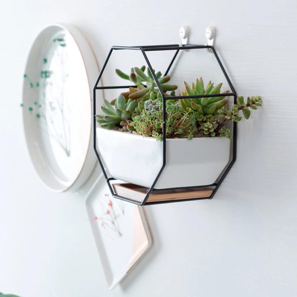 Hexagon Wall Hanging Planter Set