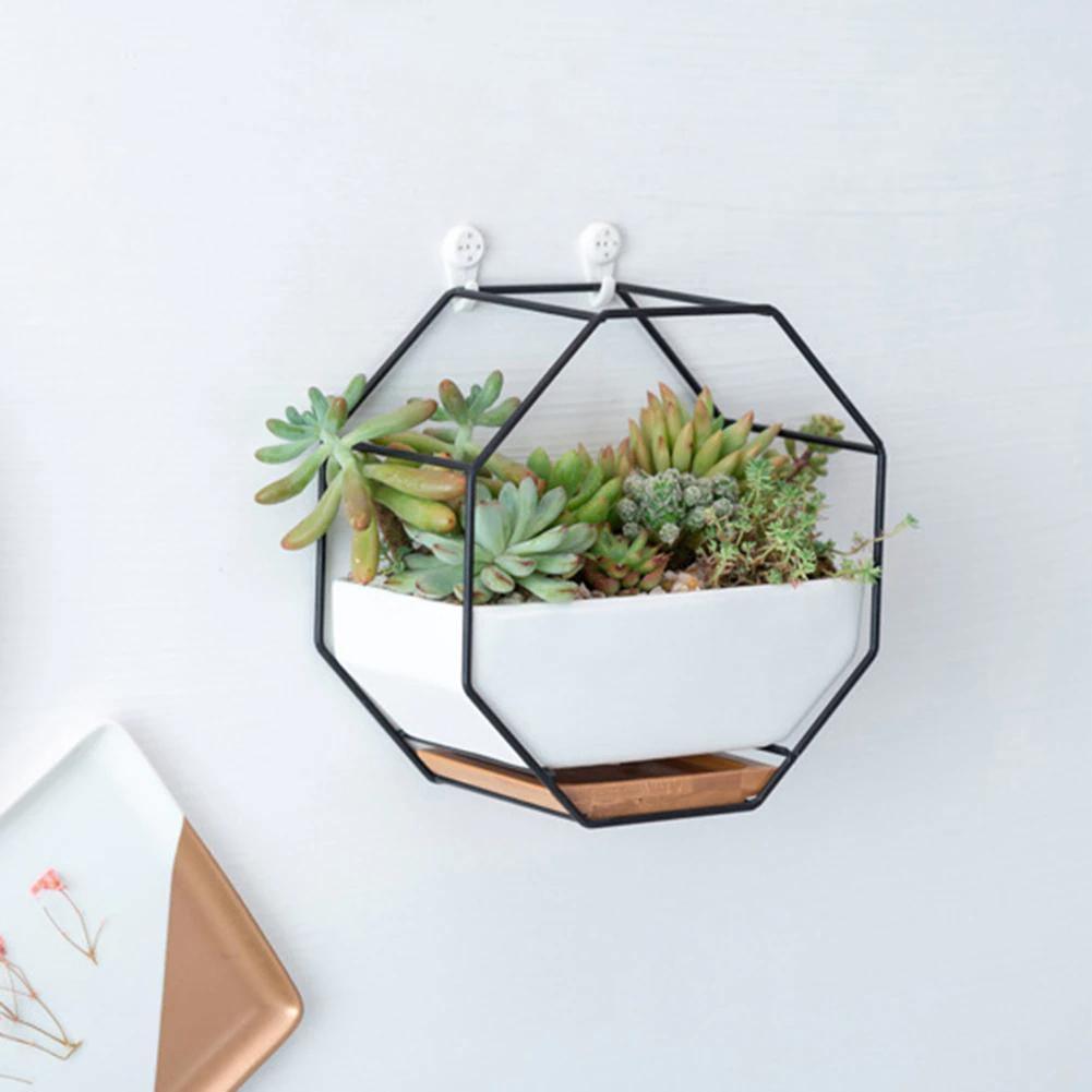 Hexagon Wall Hanging Planter Set