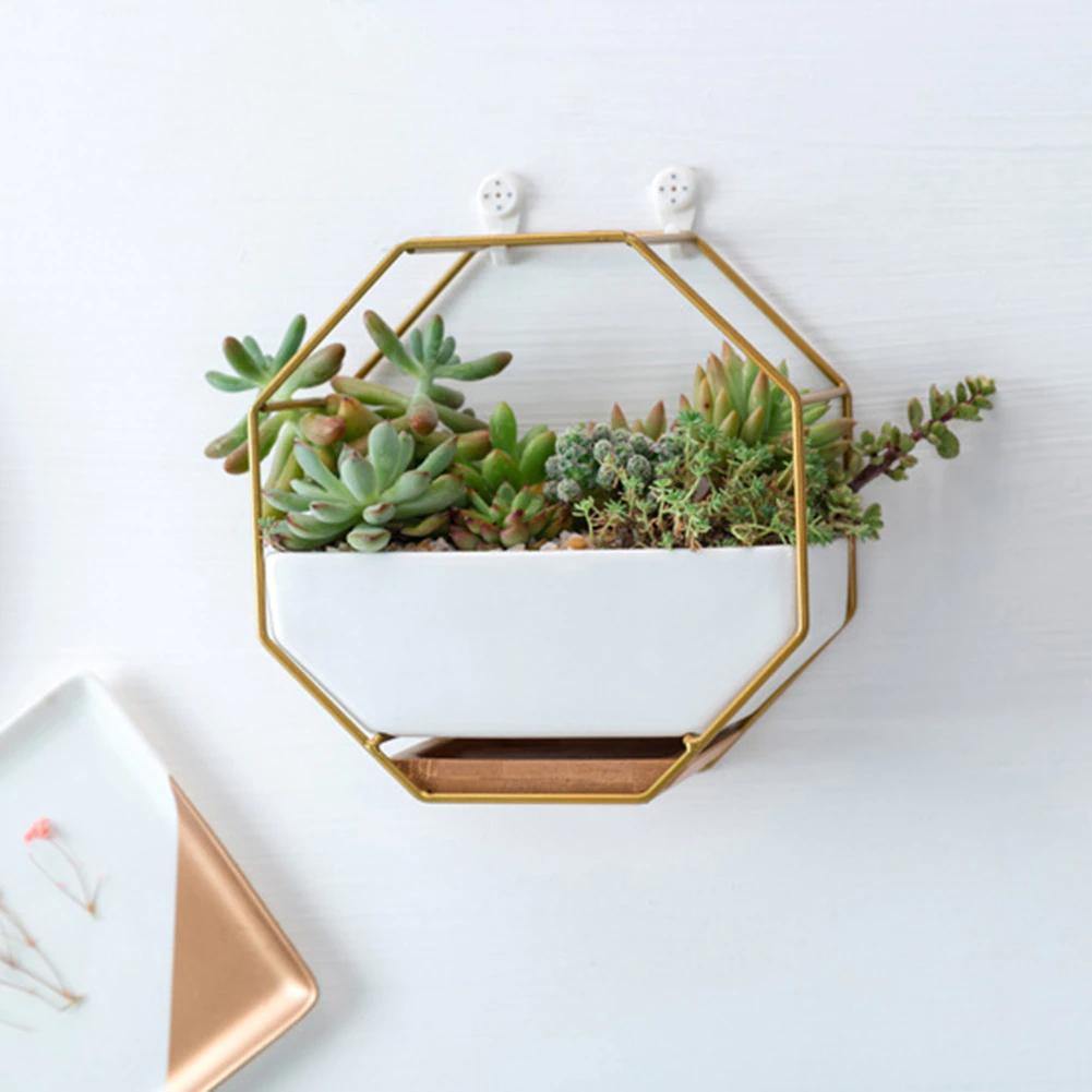 Hexagon Wall Hanging Planter Set