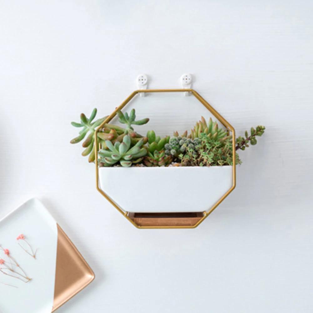Hexagon Wall Hanging Planter Set