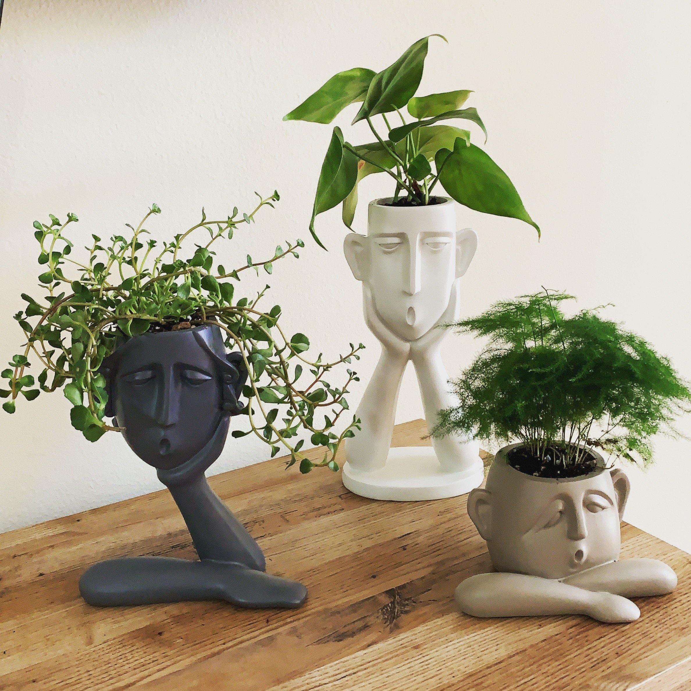 Classical Bust Planter Pot Set