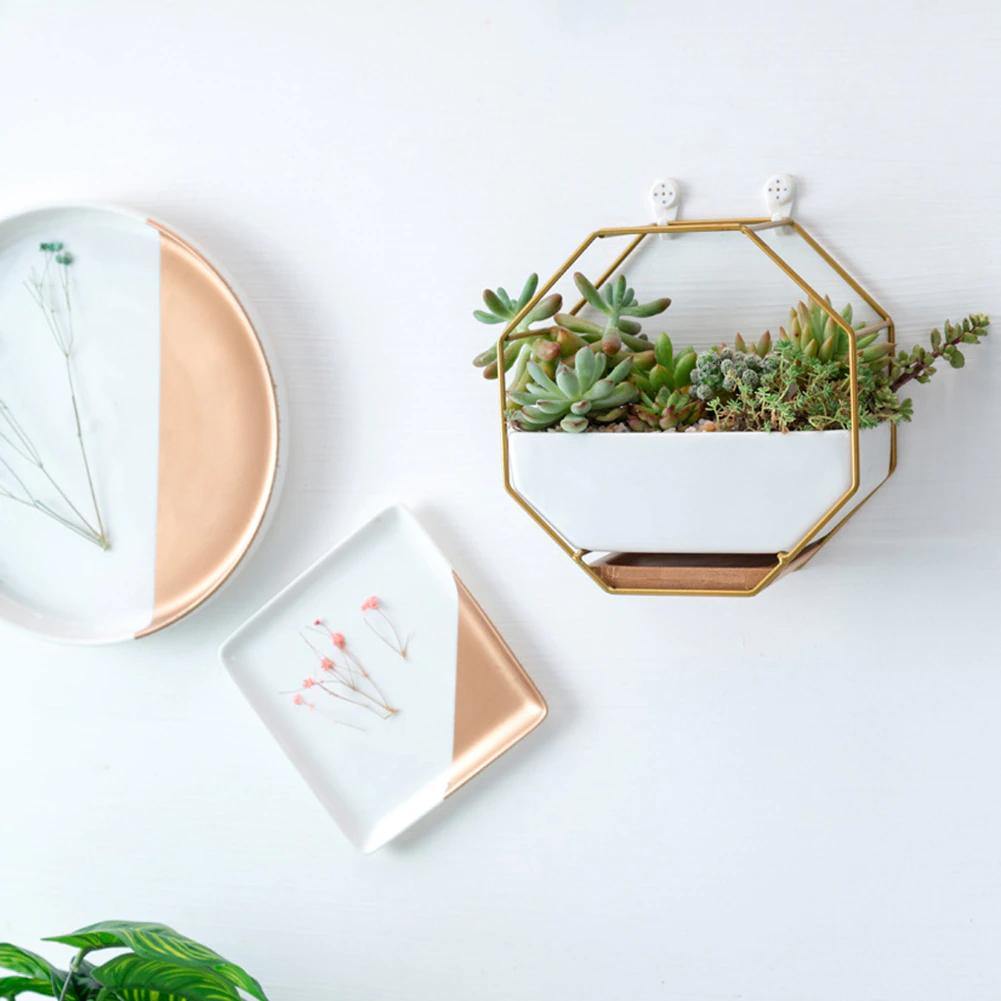 Hexagon Wall Hanging Planter Set