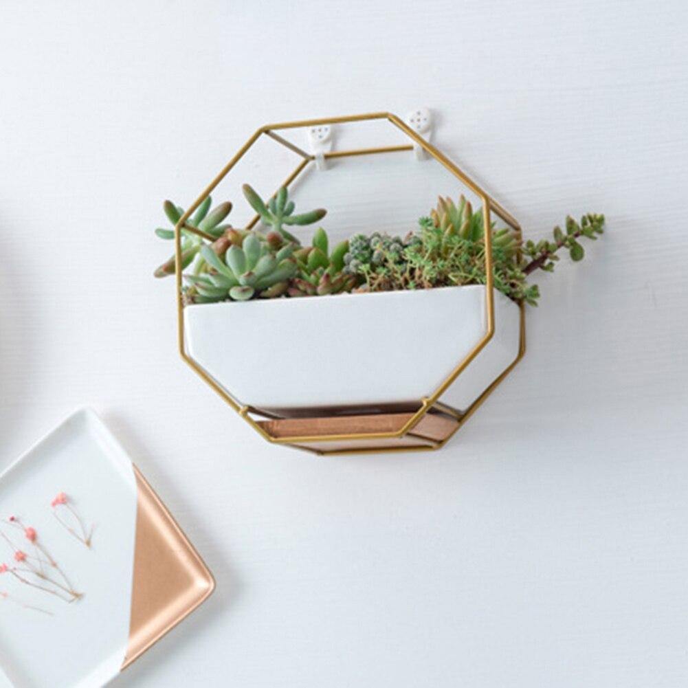 Hexagon Wall Hanging Planter Set