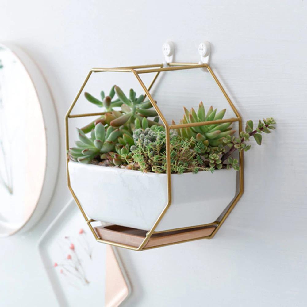 Hexagon Wall Hanging Planter Set