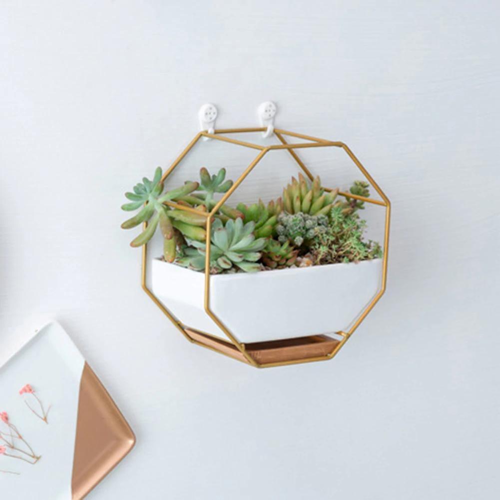 Hexagon Wall Hanging Planter Set