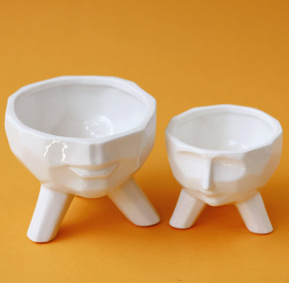 2-Piece White Face Succulent Planter Set