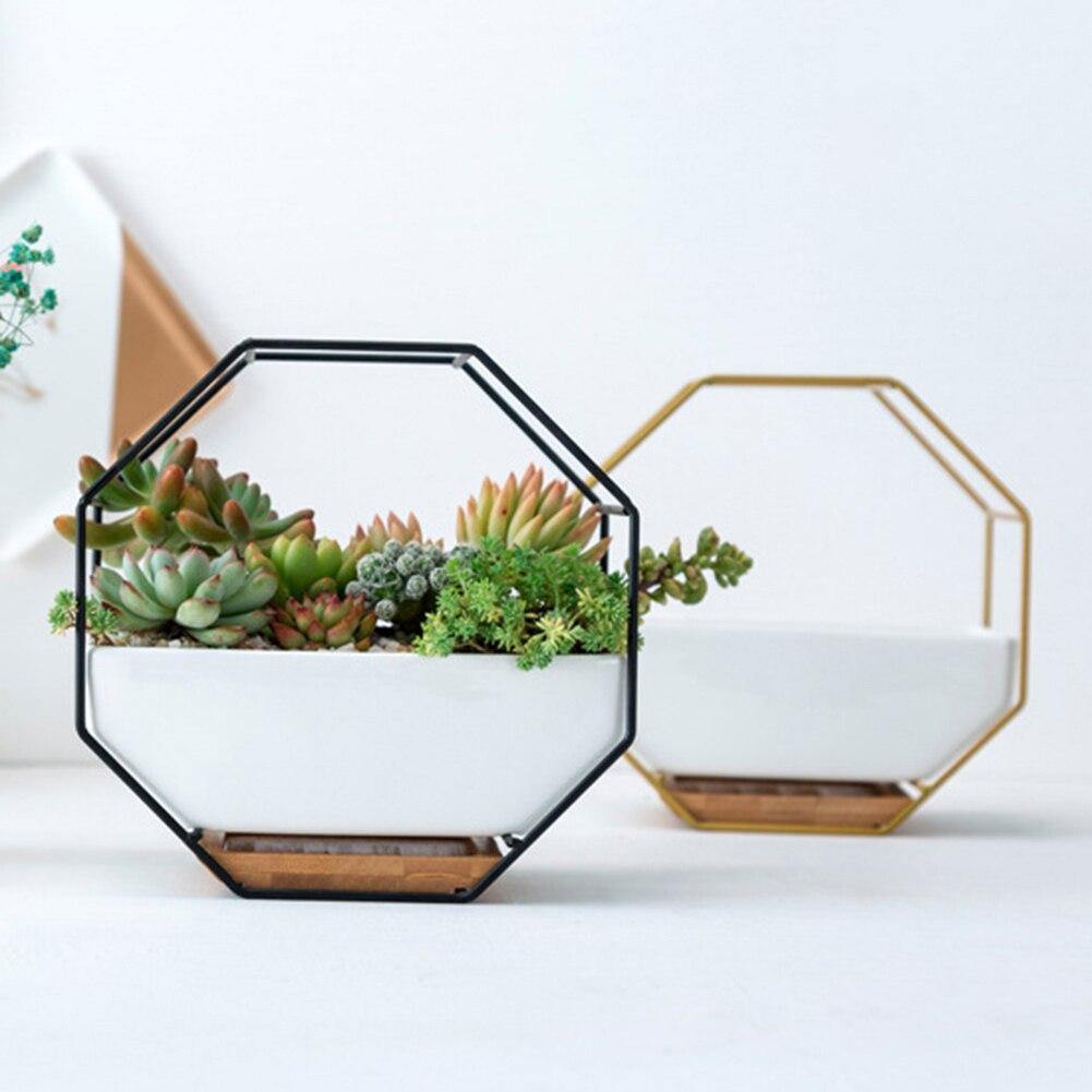 Hexagon Wall Hanging Planter Set