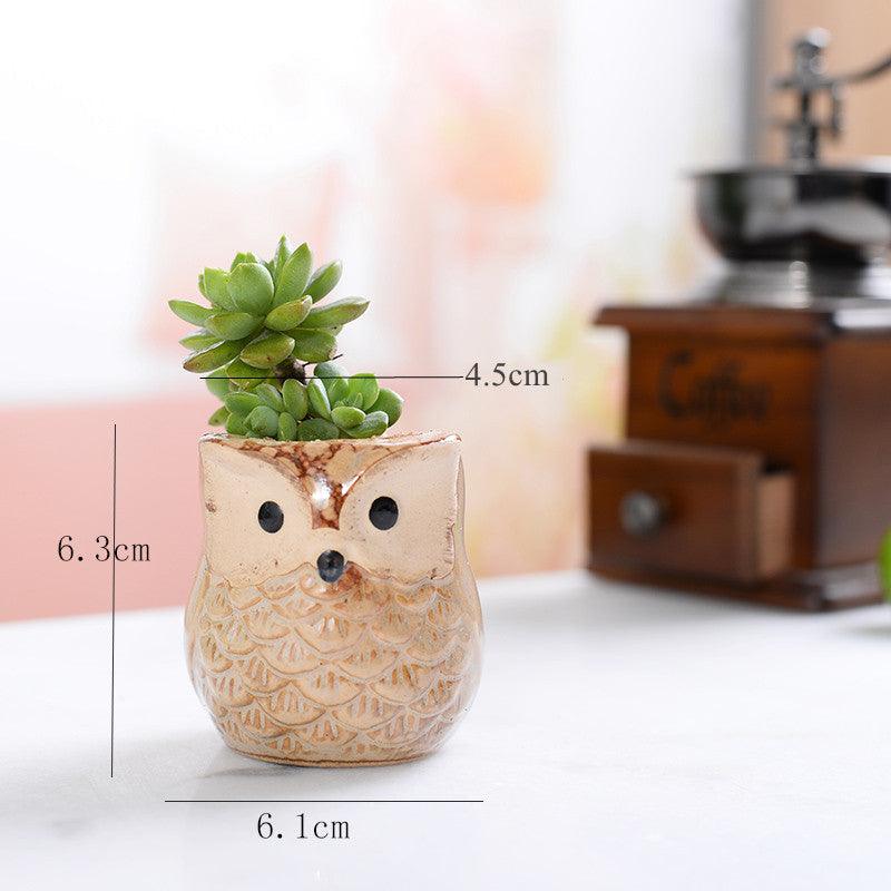 6-Piece Owl Ceramic Succulent Planter Set