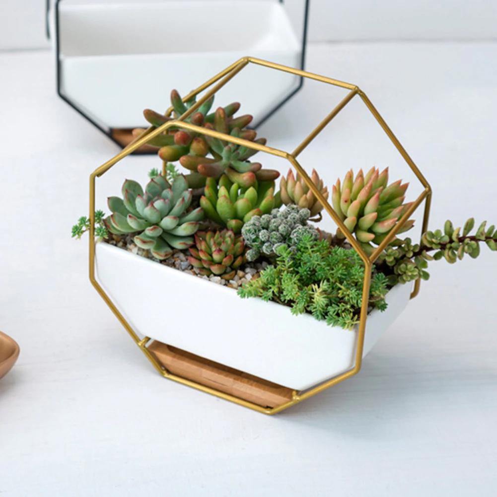 Hexagon Wall Hanging Planter Set