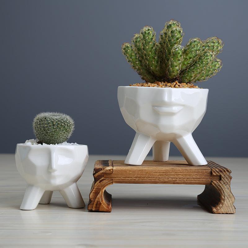 2-Piece White Face Succulent Planter Set