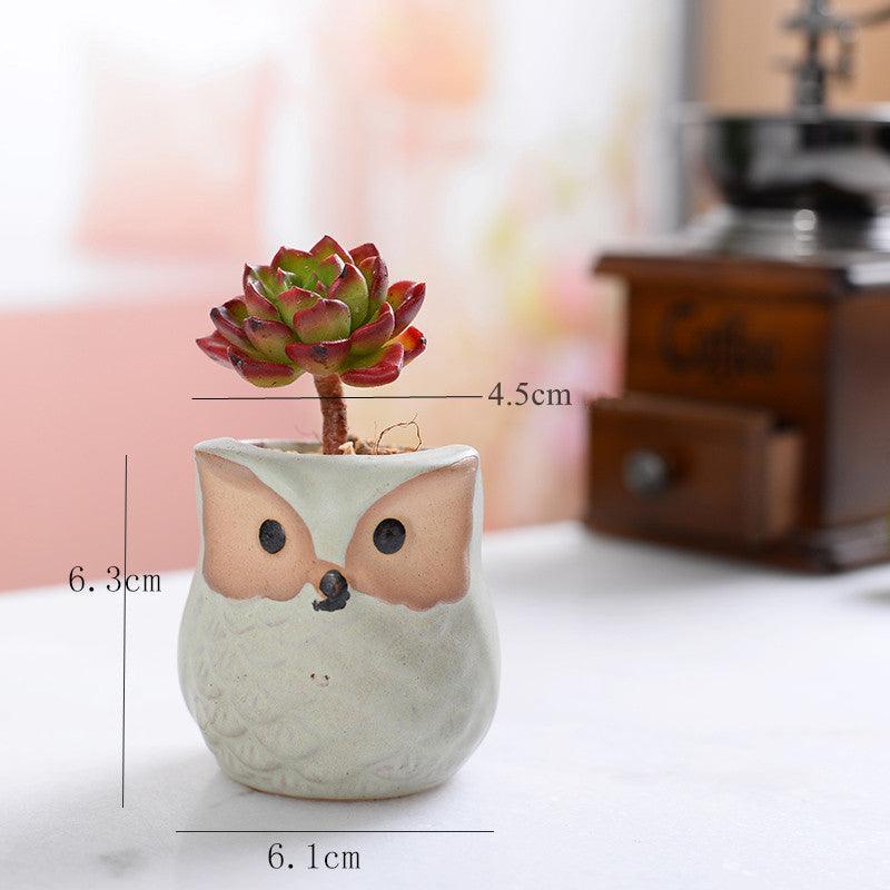 6-Piece Owl Ceramic Succulent Planter Set