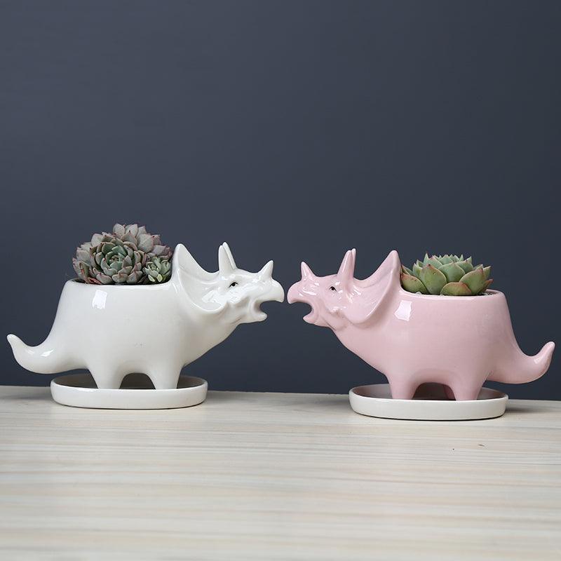 Dinosaur Succulent Planter Pot with Drainage Tray