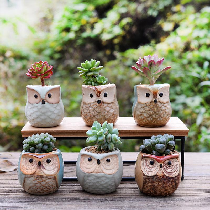 6-Piece Owl Ceramic Succulent Planter Set