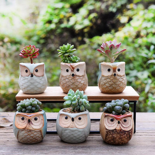6-Piece Owl Ceramic Succulent Planter Set