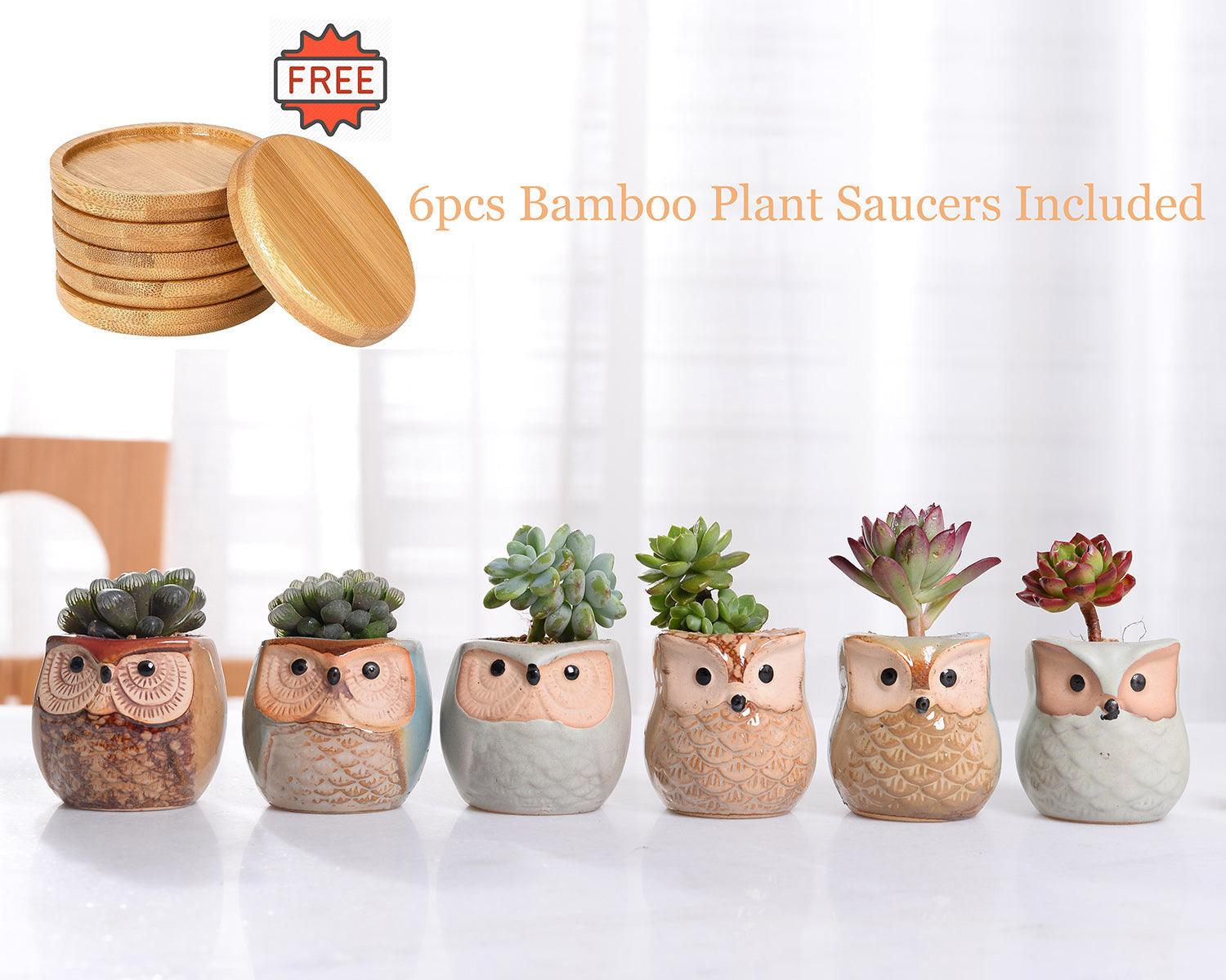 6-Piece Owl Ceramic Succulent Planter Set