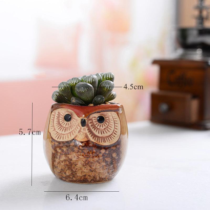 6-Piece Owl Ceramic Succulent Planter Set