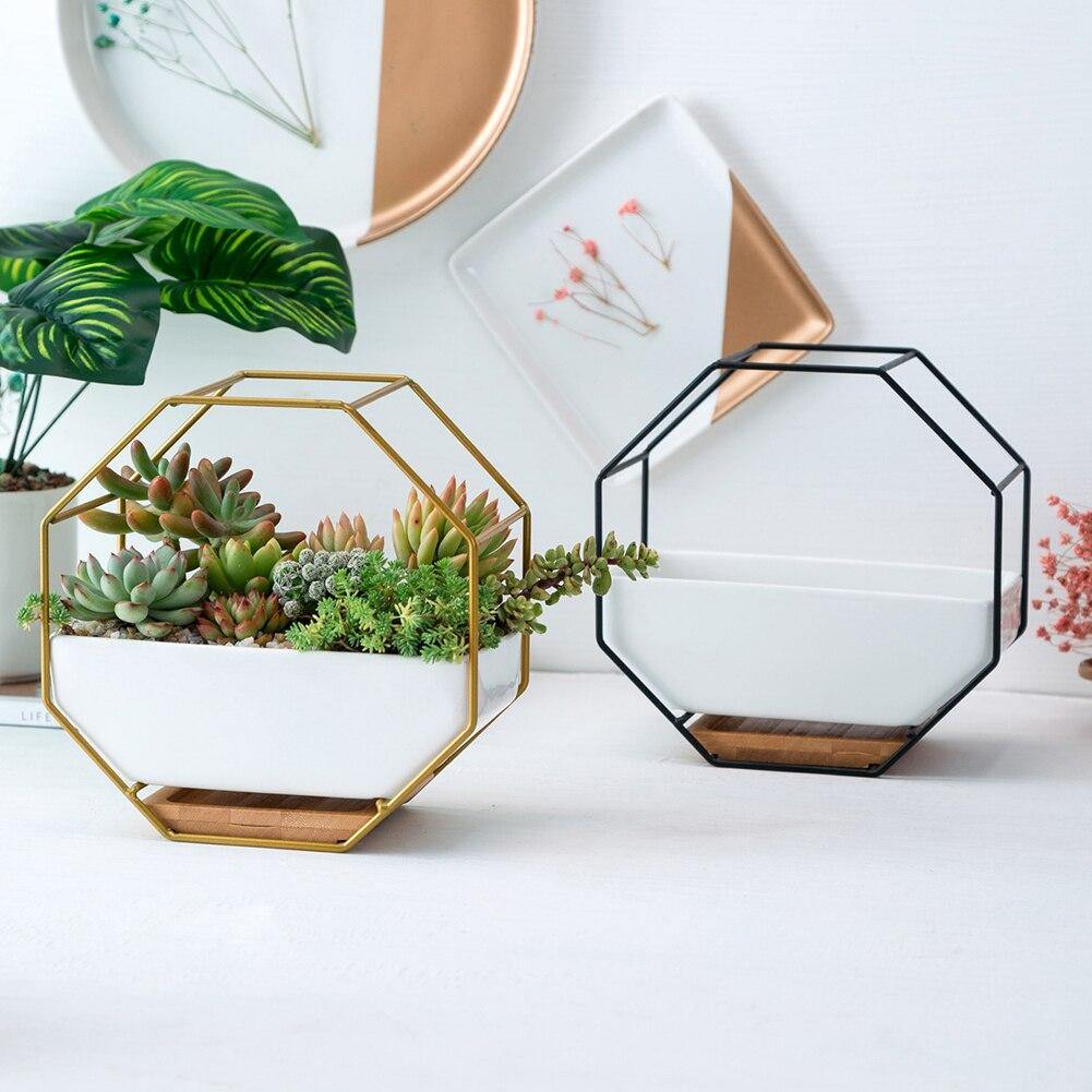 Hexagon Wall Hanging Planter Set