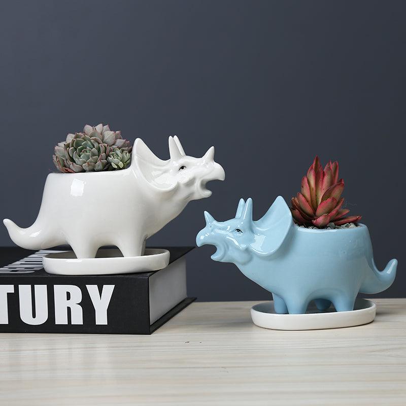 Dinosaur Succulent Planter Pot with Drainage Tray