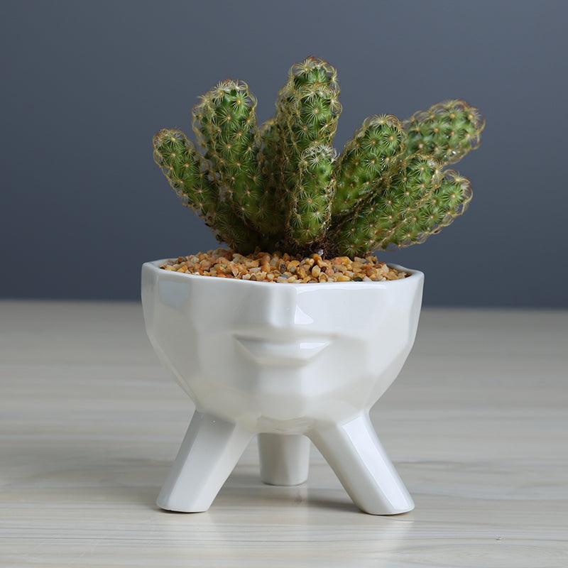 2-Piece White Face Succulent Planter Set