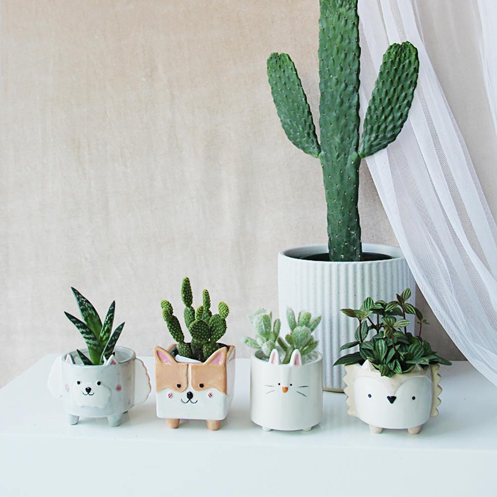 Square Animal Ceramic Succulent Planter Set