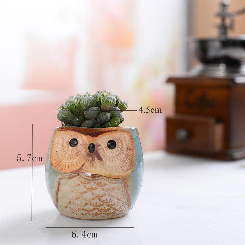 6-Piece Owl Ceramic Succulent Planter Set