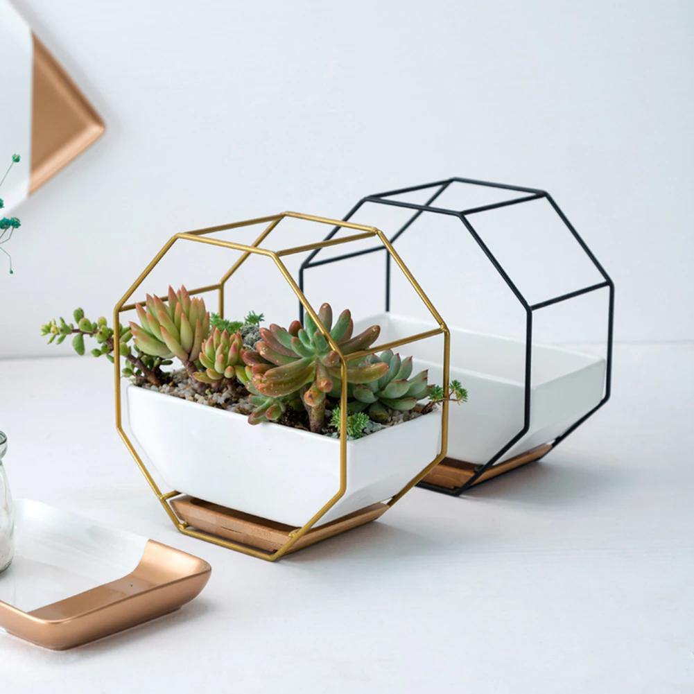 Hexagon Wall Hanging Planter Set