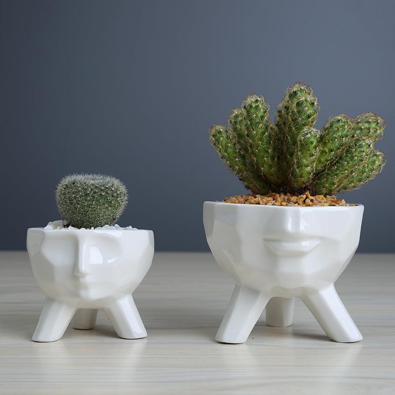 2-Piece White Face Succulent Planter Set