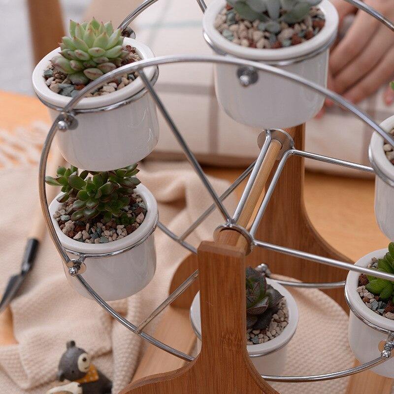 Wood Stand Succulent Planter Set