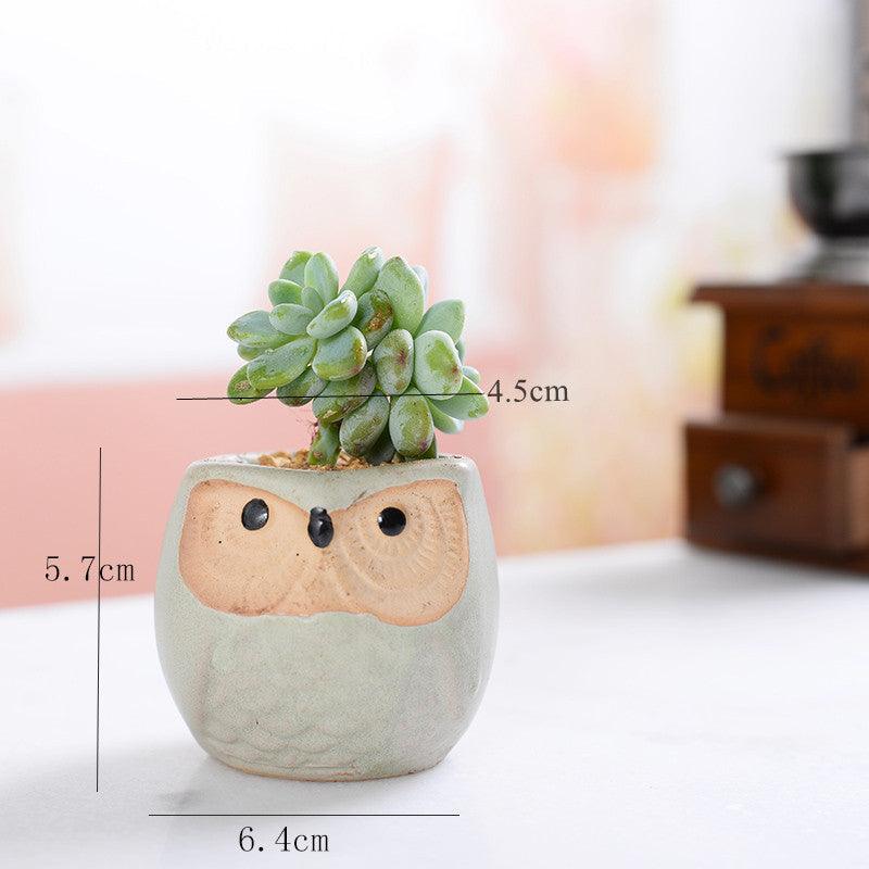 6-Piece Owl Ceramic Succulent Planter Set