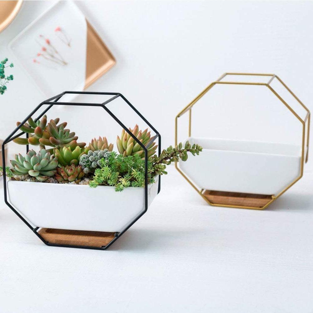 Hexagon Wall Hanging Planter Set