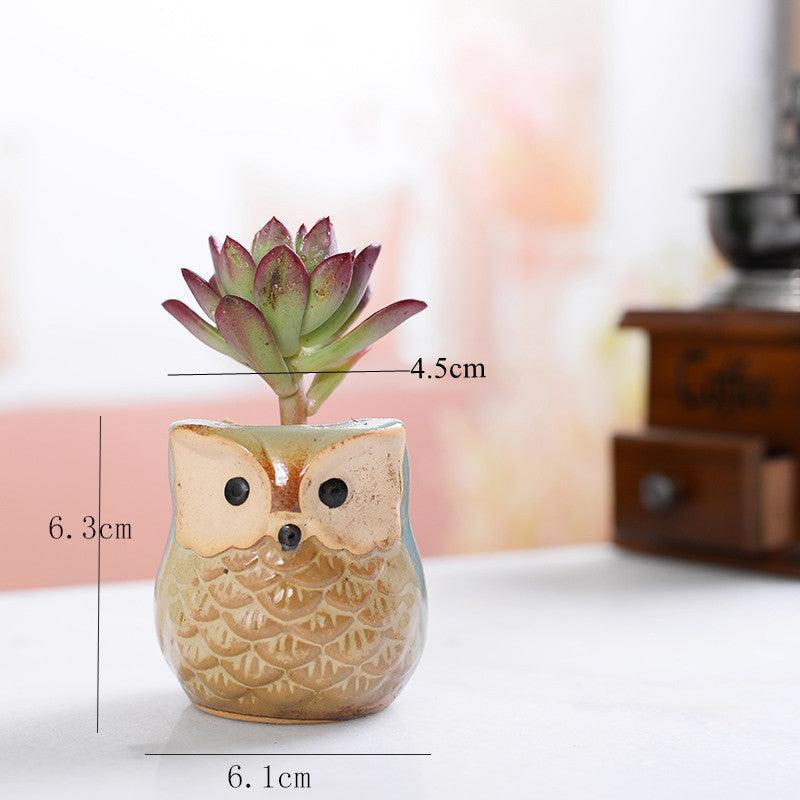6-Piece Owl Ceramic Succulent Planter Set