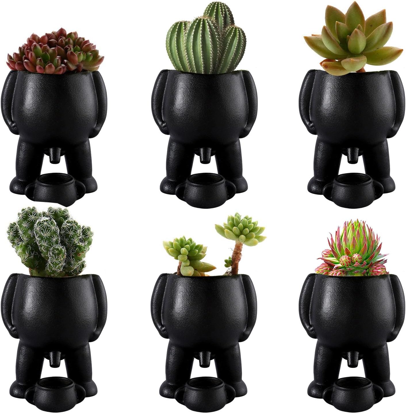 Cheeky Character Novelty Planter