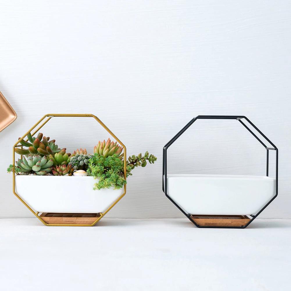 Hexagon Wall Hanging Planter Set