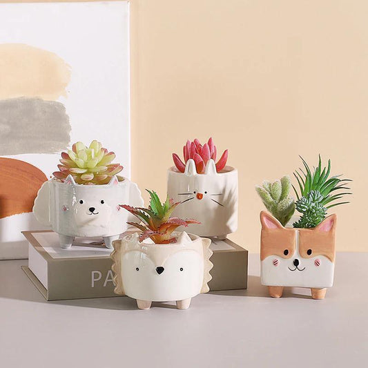 Square Animal Ceramic Succulent Planter Set