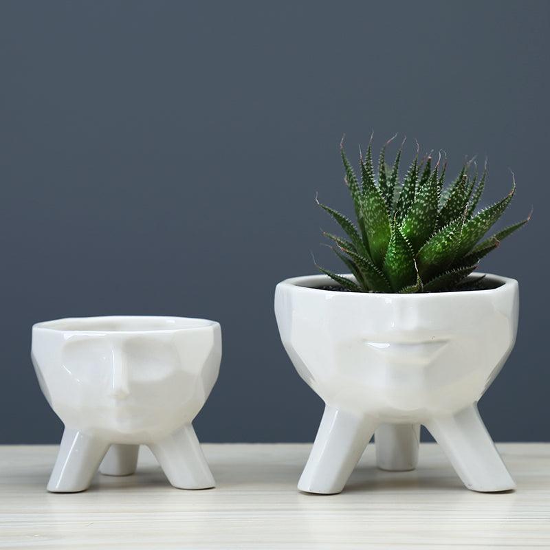 2-Piece White Face Succulent Planter Set