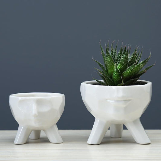 2-Piece White Face Succulent Planter Set