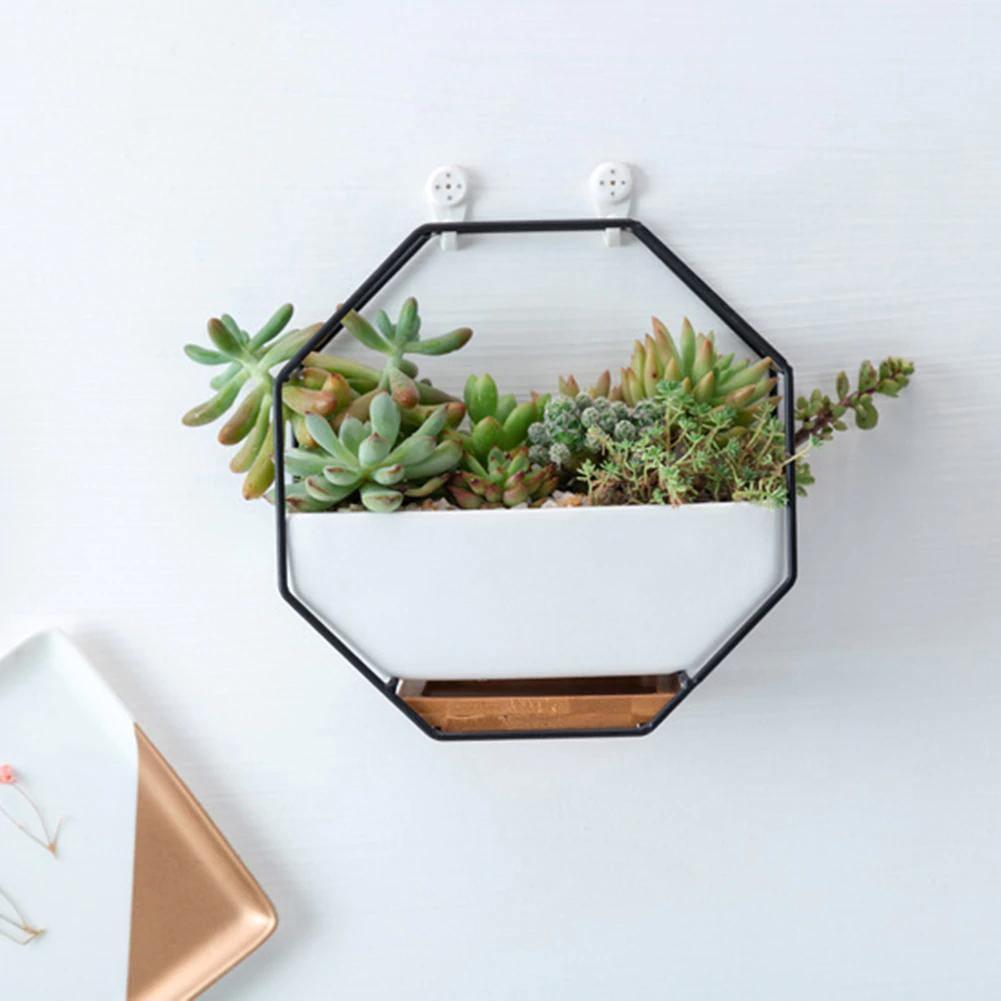 Hexagon Wall Hanging Planter Set