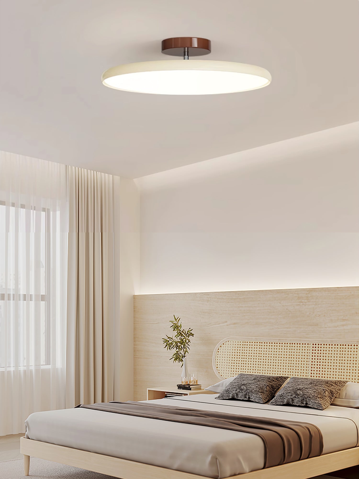 Adjustable Ring Ceiling Light