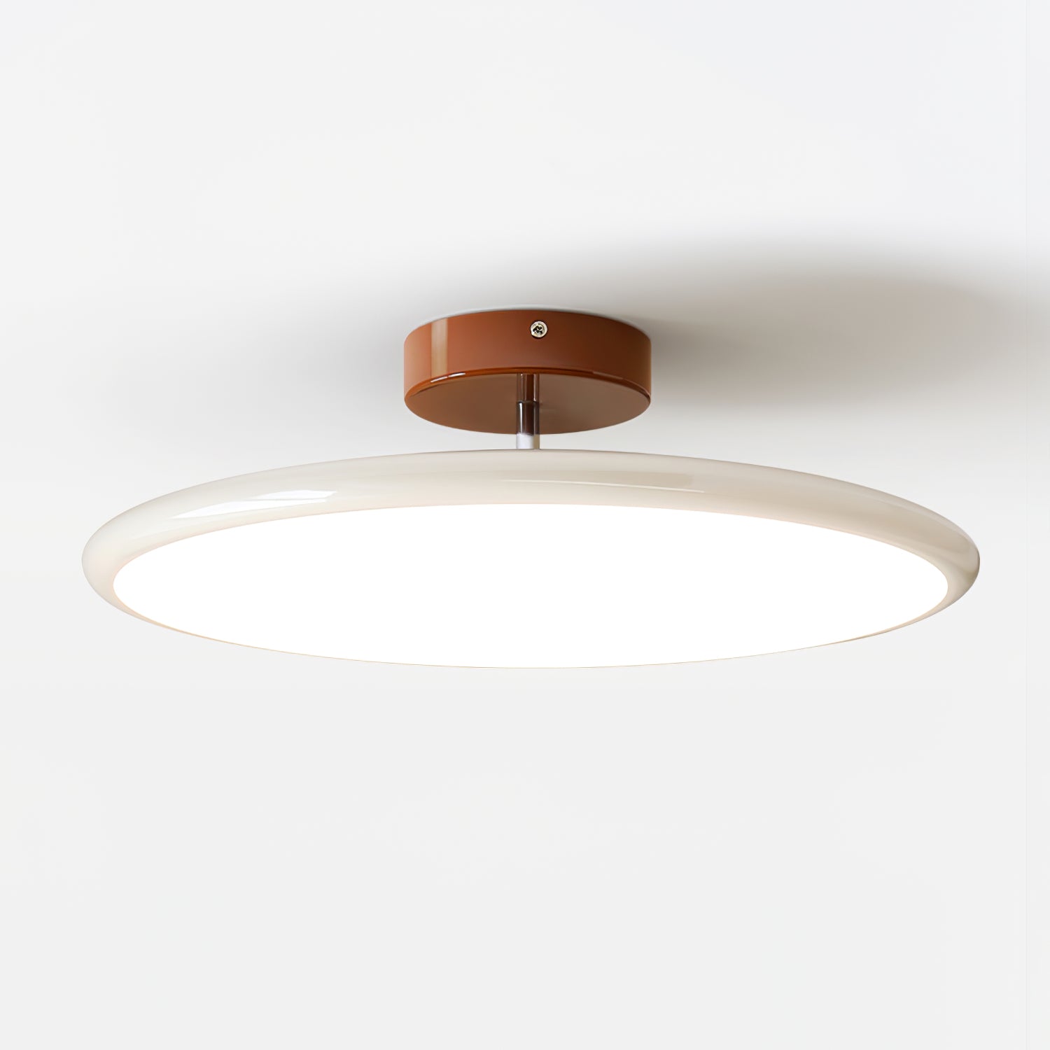 Adjustable Ring Ceiling Light