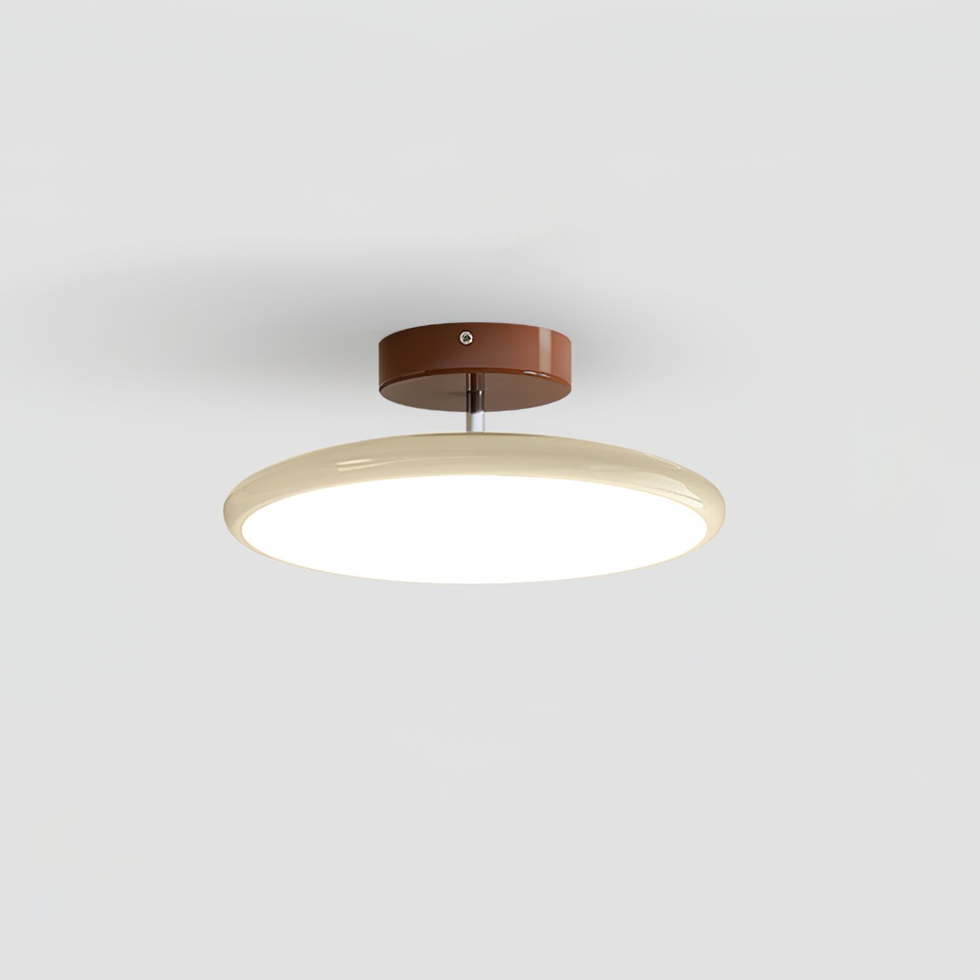 Adjustable Ring Ceiling Light