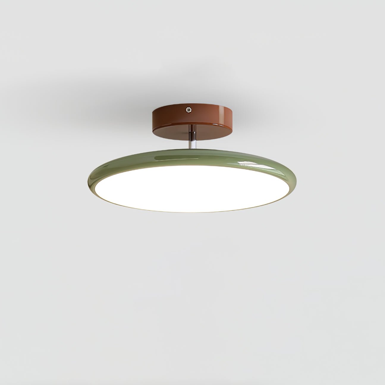 Adjustable Ring Ceiling Light