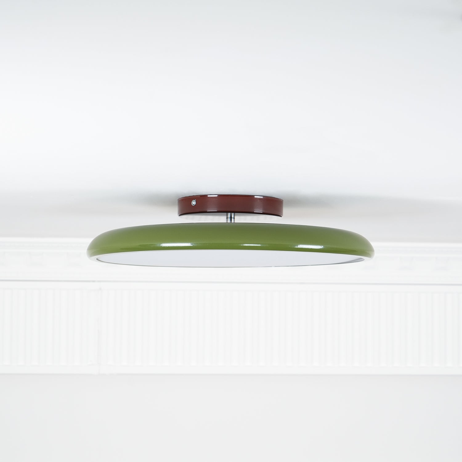 Adjustable Ring Ceiling Light