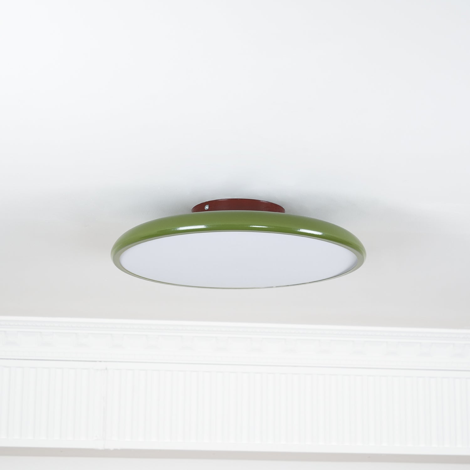 Adjustable Ring Ceiling Light