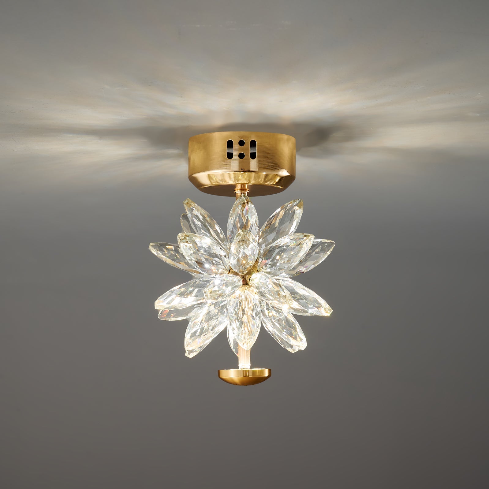 Crystal Floral Ceiling Light