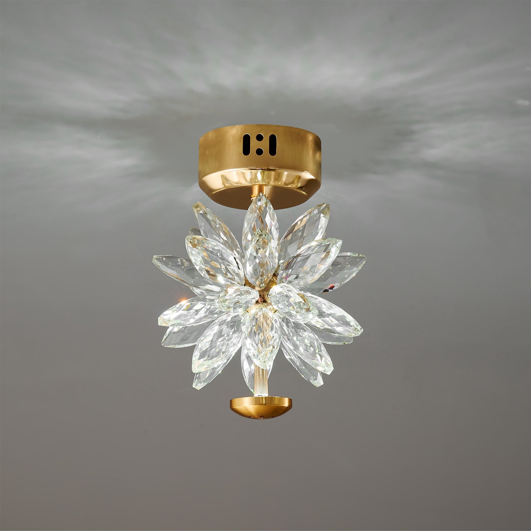 Crystal Floral Ceiling Light