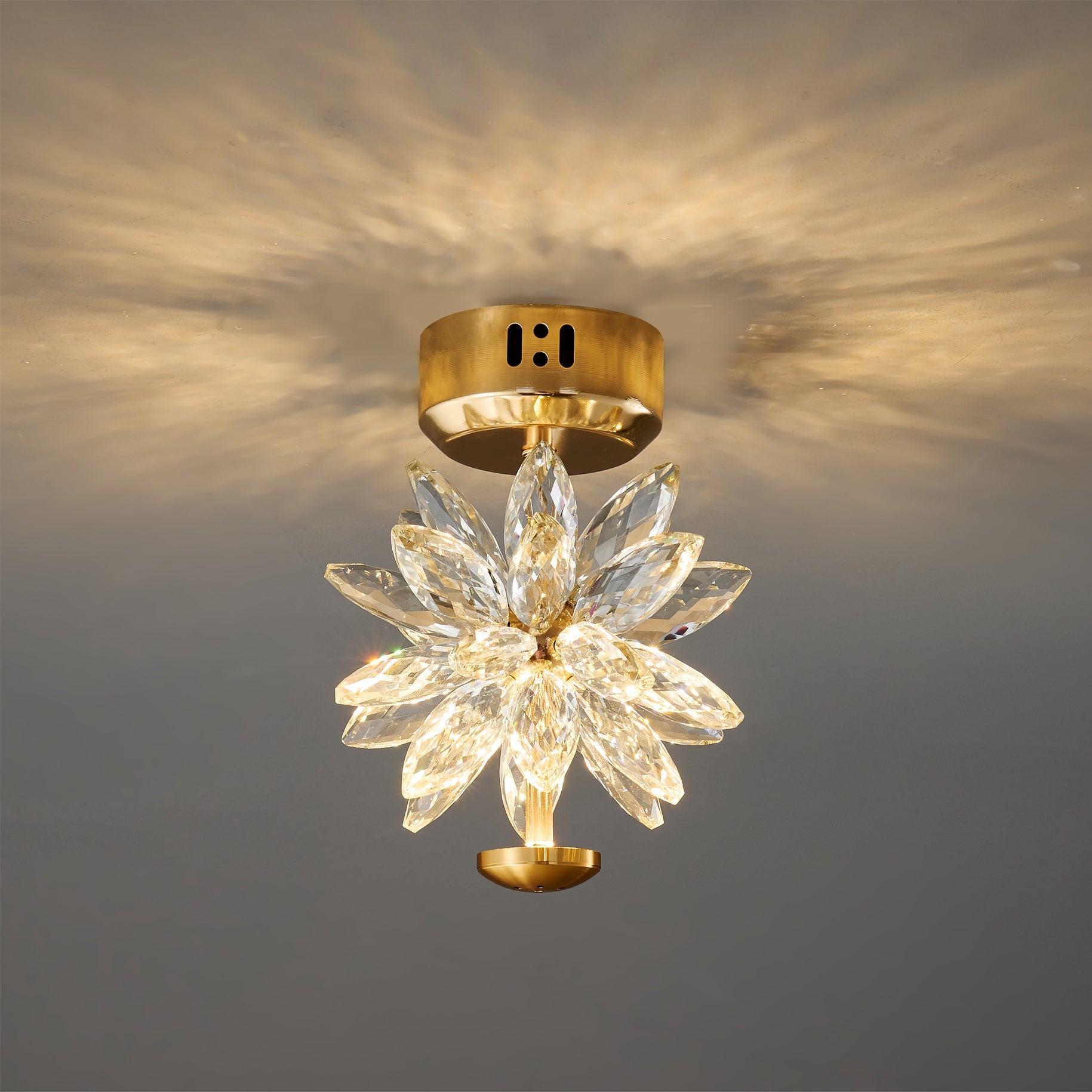 Crystal Floral Ceiling Light