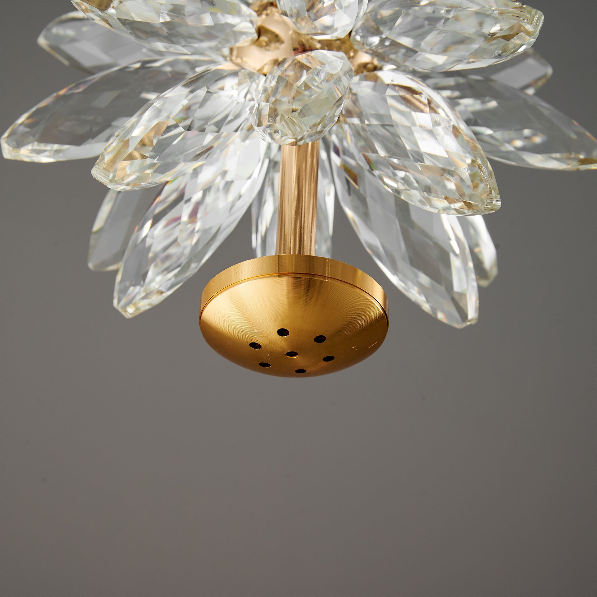 Crystal Floral Ceiling Light